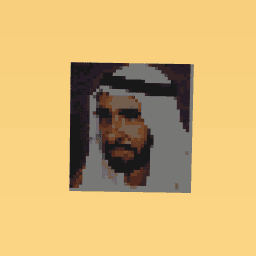 Sheikh Zayed