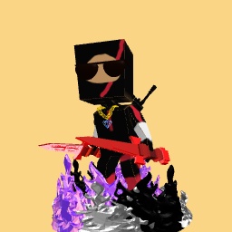 Ninja