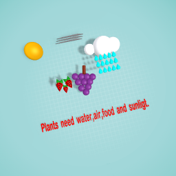 What plants need