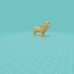 The lion live in afrca