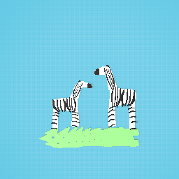 Zebras