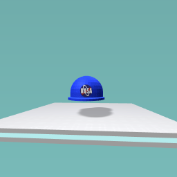 nasa hat