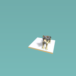 dog