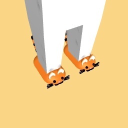 Cat Shoes