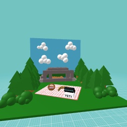 picnic with my family!