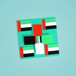 UAE FLAGS