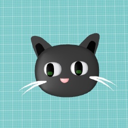 Cute cat