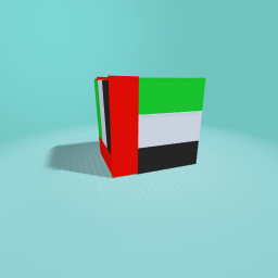 UAE flag
