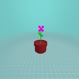 a flower in a pot
