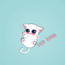 Kitten