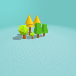 The forest