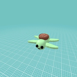 baby turtle