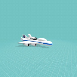 SPACE SHUTTLE