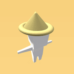 SUMMER HAT