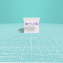 #TheInvisibleBlock
