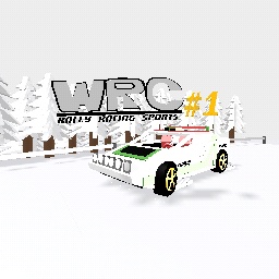 Rally Racing sport - Race car