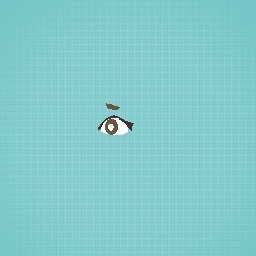 Eye practice