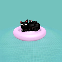 cat and kittens