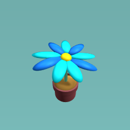 Blue flower