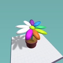 Rainbow flower