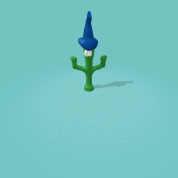 Cactus