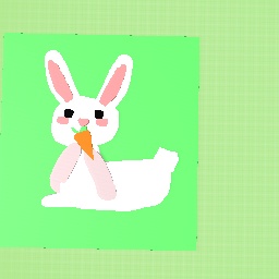 Rabbit