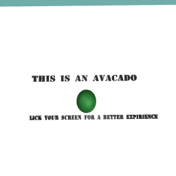 This Is An Avacado