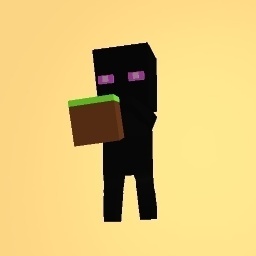 Enderman with a Dirt block :|