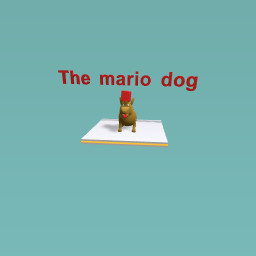 The roblox character