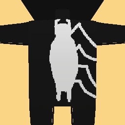 new costume copy