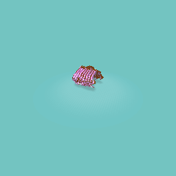 Bacon hair