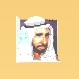 shiek zayed