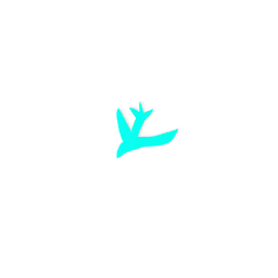 Plane