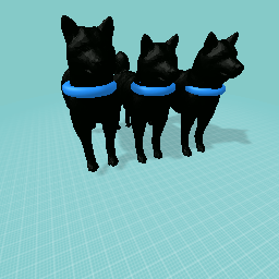 Three good dogs.