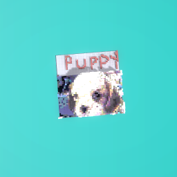 puppy 🐶